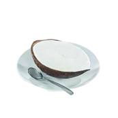 COCONUT DELIGHT X 9