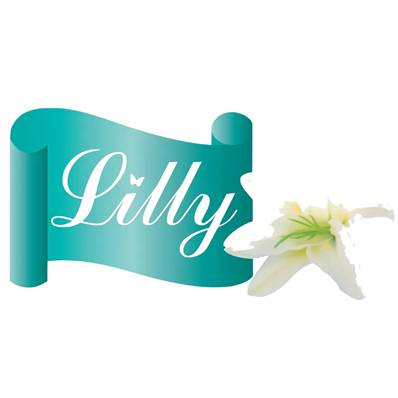 LILY TOILET ROLLS 3PLY 9 PACK
