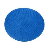 HAIRNET LIGHT BLUE RING X 50