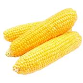 CORN ON THE COB 24 X 2 EARS
