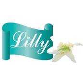 LILY TOILET ROLLS 3PLY 9 PACK