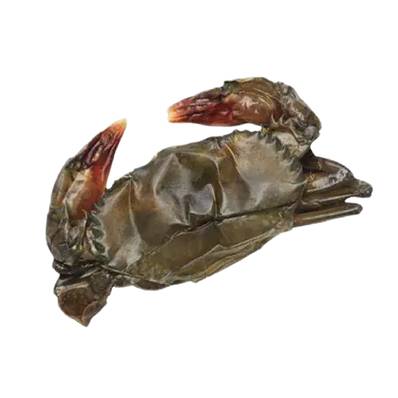 AQUAHAWK RAW IQF SOFT SHELL CRAB 1KG