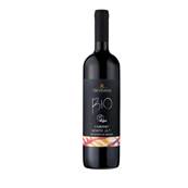 TREVISANA BIO CABERNET VENETO 75CL