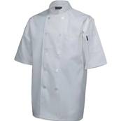 L WHITE SHORT SLEEVED CHEFS JACKET LARGE