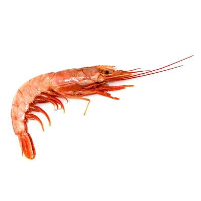 LANGOSTINOS RED HOSO 10/20 2KG