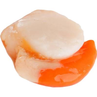 IQF QUEEN SCALLOPS IN HALF SHELL 20/30 ROE ON 1KG