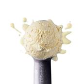DISOTTO VEGAN VANILLA 2.5LTR