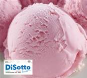DISOTTO STRAWBERRY WITH PIECES 5 LITRE