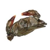 AQUAHAWK RAW IQF SOFT SHELL CRAB 1KG