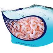 125/175 COLD WATER PRAWNS GOLD SEA GEM 2KG